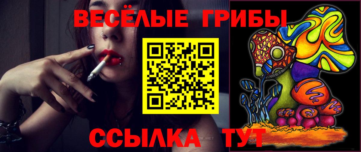 Галлюциногенные грибы мицелий  Псилоцибиновые грибы мухоморы  Вход с VPN  Гудермес 